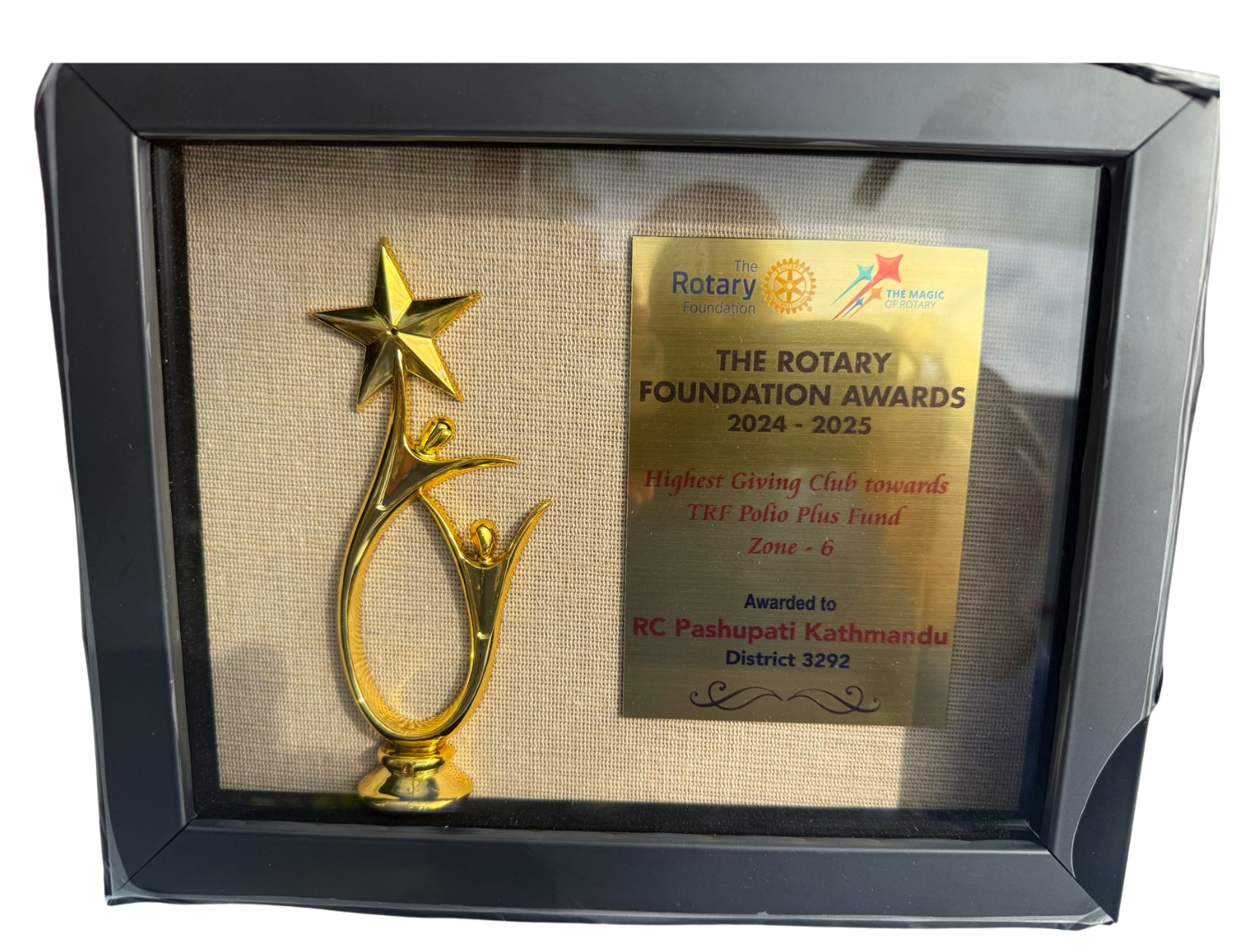 The Rotary Foundation Award